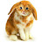 @UpgradedtitantvMan-b3k