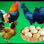 Pathankot Desi Poultry logo