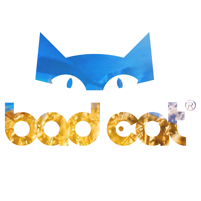 Bad Cat