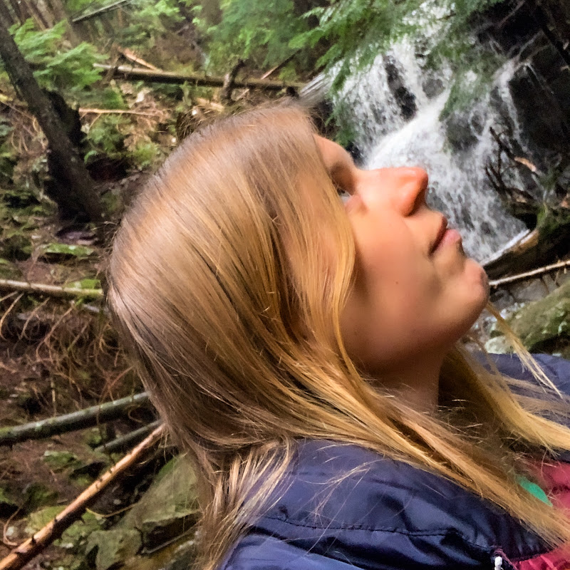 The Writing Traveler