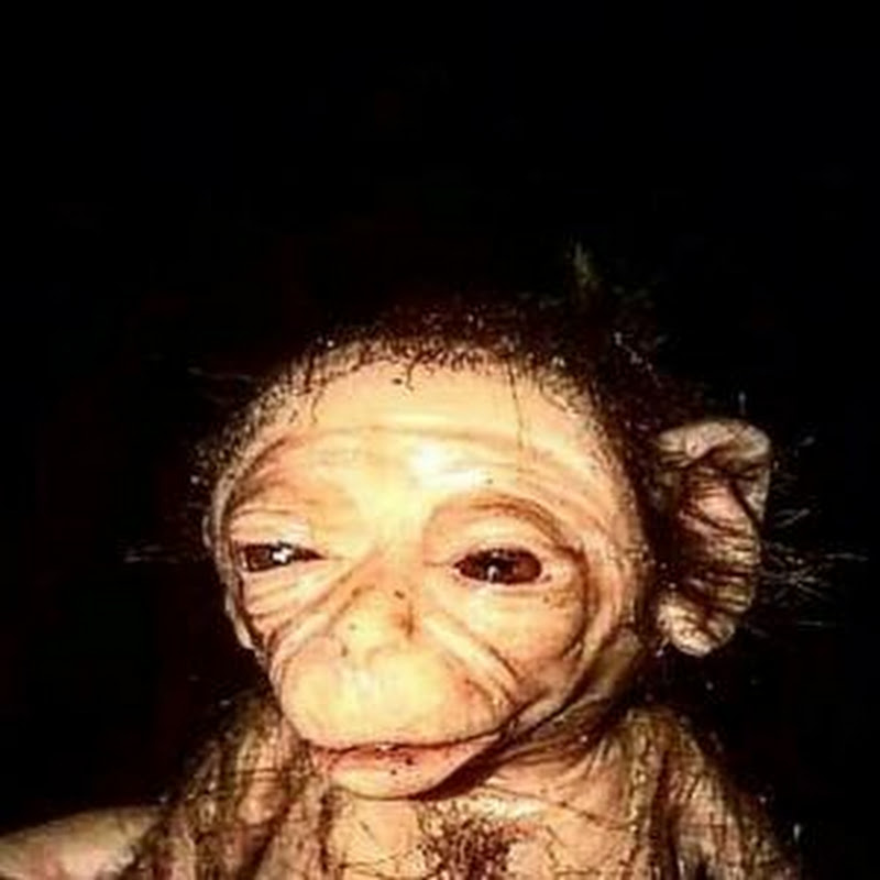 Samuen Entertainment