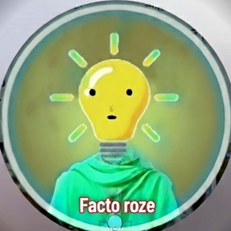 Facto roze  icon