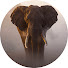 KUXrQ_mP9Rk-channel-avatar-The Circadian Wild