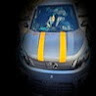 Автор