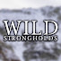 q8nTNDNgCeE-channel-avatar-Wild Strongholds
