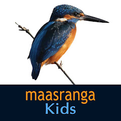 Maasranga Kids avatar