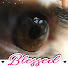x5oM6KezY_M-channel-avatar-BlueDiamond Tv