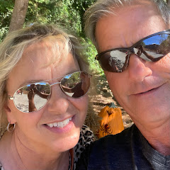 Our Shabby Cottage net worth