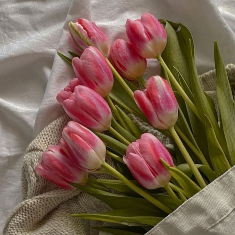 Gadis_sadiss🥀🥀