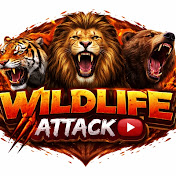 Wildlifeattack