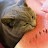 @SillyGoose_420_69's avatar