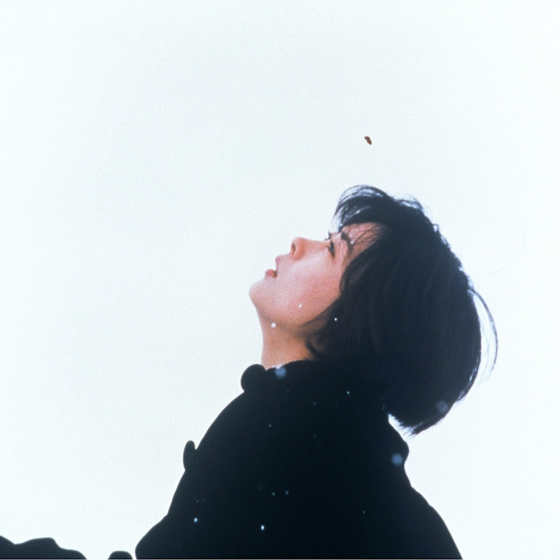 是藤井树哇 Logo