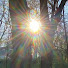 Z6QR6EpaLCM-channel-avatar-Tree Top