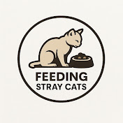 Feeding Stray Cats