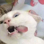 Bzzi.子