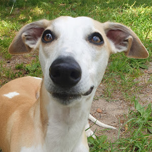 UCVx28H0XPG8TvHlKrJ5sjOQ YouTube channel image