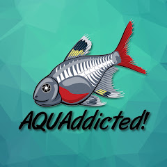 AQUAddicted! Avatar