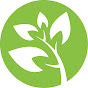 Gloria Cicchini Naturopath logo
