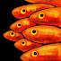 N-eI9h8NxhE-channel-avatar-SOMEHOW and After Hours Archive