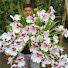 A1ZwIN1GMYY-channel-avatar-Naturaleza y aventuras jhonatan