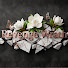 DAfZq4oMf8E-channel-avatar-Revenge Wrath