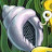 @magicalconch