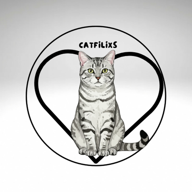 Catfilixs
