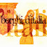 2_nrlfUb9-s-channel-avatar-Borghi d'Italia (TV2000)