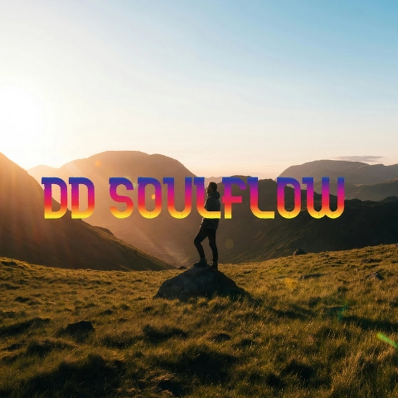 DD SoulFlow