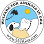 Welfare For Animals In Goa logo