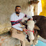8jhOvht4vM4-channel-avatar-Sandhu Dairy Farming(5154)