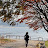 @marisworld-korea