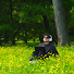 R9UdCiCC2es-channel-avatar-Ammafari Music Jams