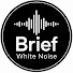 NGo9PE1b2EY-channel-avatar-Brief White Noise