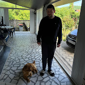 darko mijajlovic