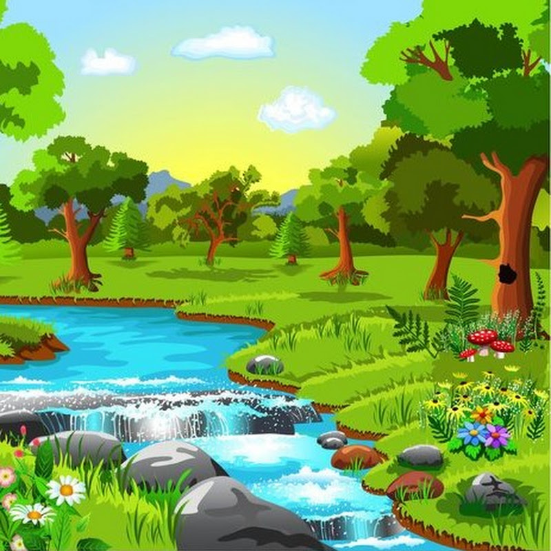 Dibujos y  Paisajes