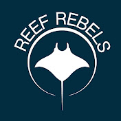 Reef Rebels