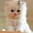 @user-wf5sq4nx6v