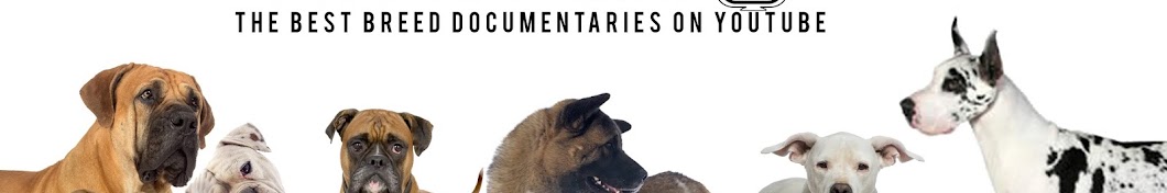 Dogumentary TV YouTube channel avatar