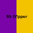 Mr_D1pper