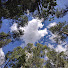 HN8zCUTagbQ-channel-avatar-The Backcountry Soloist