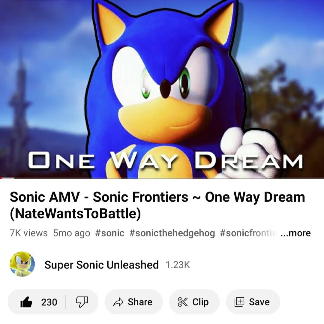 Post from Super Sonic Unleashed