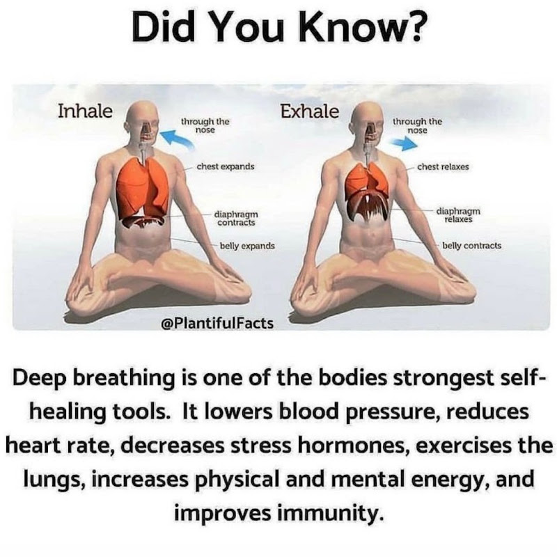 yoga meditation