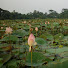 RN76uuDqJaI-channel-avatar-Lotus SK