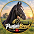 V_CHqGV2qgw-channel-avatar-Punjab Breed and Sahajpal Brar