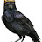 @user-im4jl5ge3t