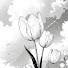IPaNB4H_-LY-channel-avatar-flowerboy