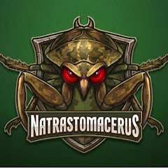 Natrastomacerus