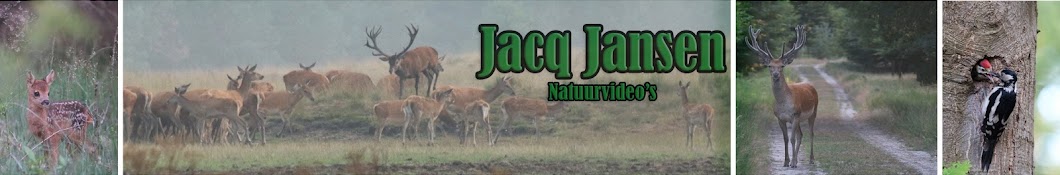Jacq Jansen ইউটিউব চ্যানেল অ্যাভাটার