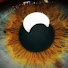-xxO0A3aEls-channel-avatar-lizo eye